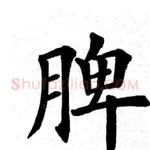 脾