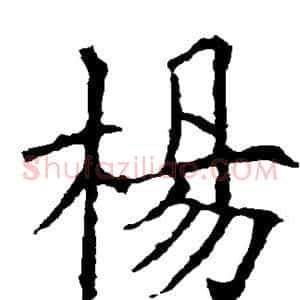 杨