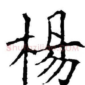 楊