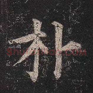 朴