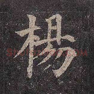 杨