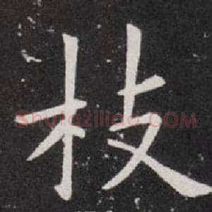 枝