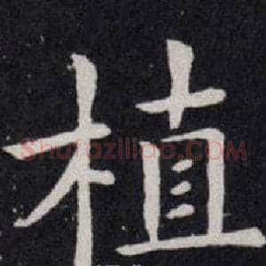 植