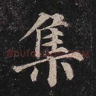 集