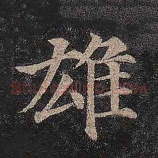 雄