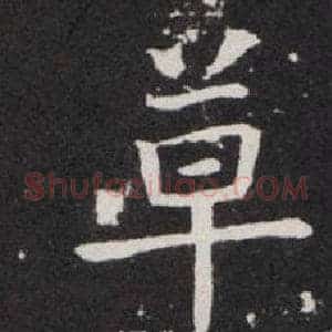 卓