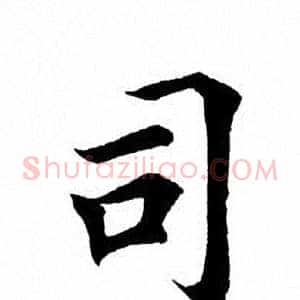司