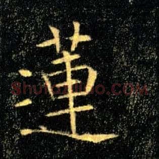 蓮