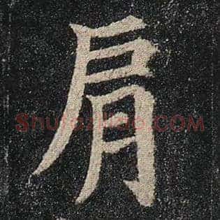 肩
