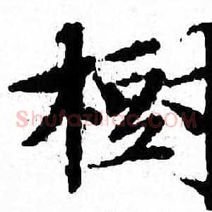 樹