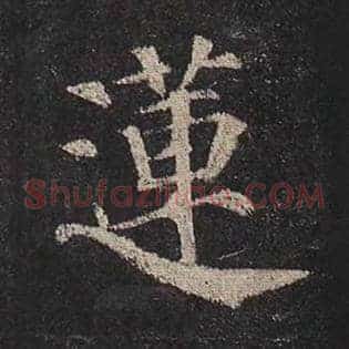 莲