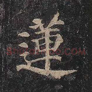 莲