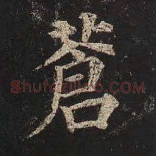 苍