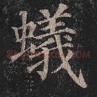 蚁
