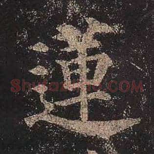 莲