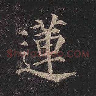 莲