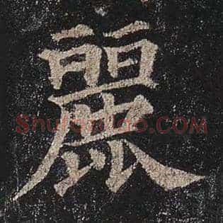 丽