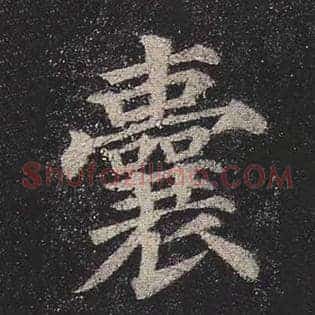 囊