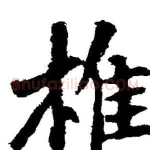 椎