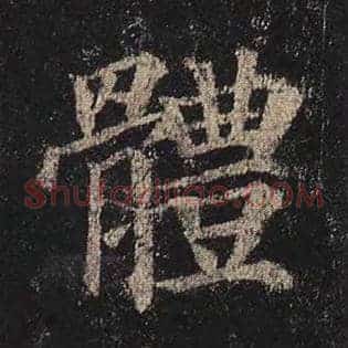 体