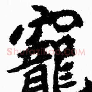寵