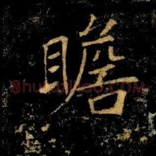 瞻