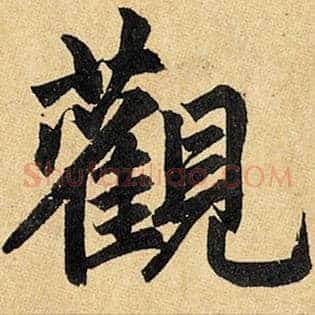 观