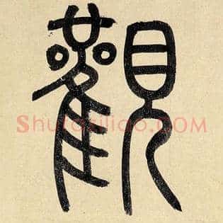 观