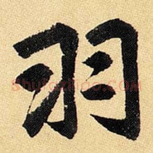 羽