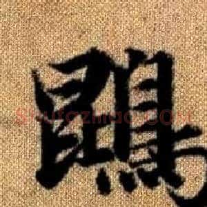 鵾