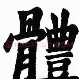 體