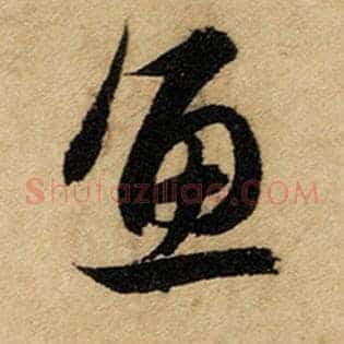 鱼