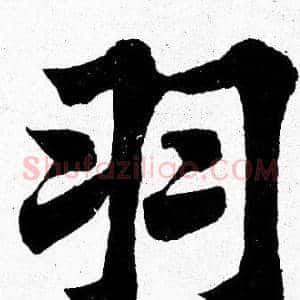 羽