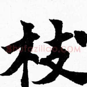 枝