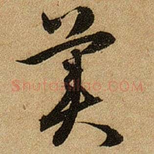 美