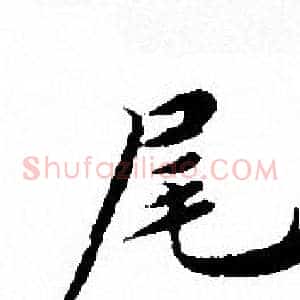 尾