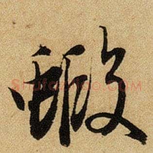 虾