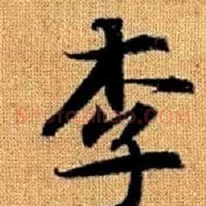 李