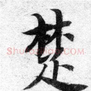 楚