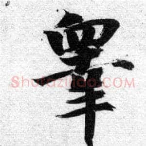 睾