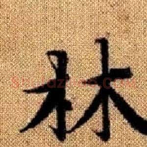 林