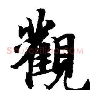 观