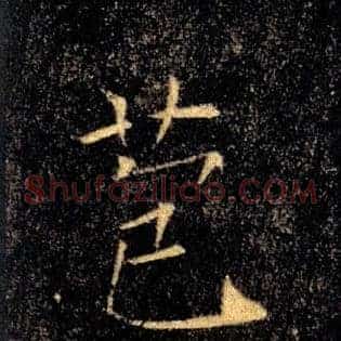 苞