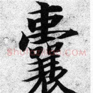 囊