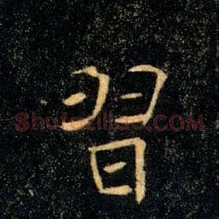 習