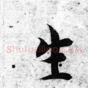 生