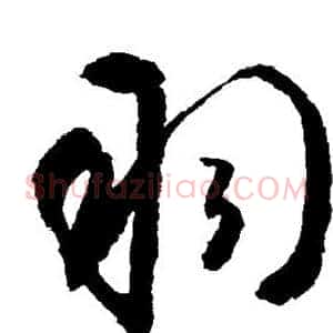 羽