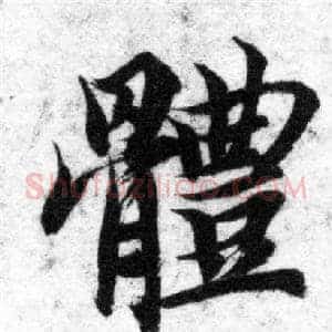 體