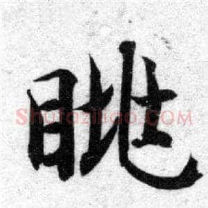 眺