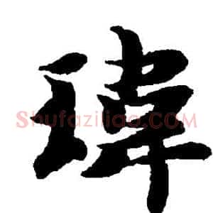 玮